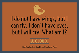 Pin On Brain Teasers Riddles And Puzzles