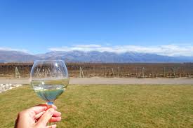 Mendoza is the main wine producer and exporter in argentina. Mendoza Argentina Wine Tasting In Uco Valley The Yuppie Hipster