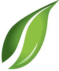 Free icons of leaf in various ui design styles for web, mobile, and graphic design projects. Green Leaves Png Transparent Background Free Download 38610 Freeiconspng