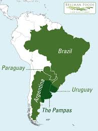Argentina vs uruguay live stream. Sources Rellman Foods