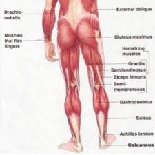 Download the full routine pdf and excel workout printout here! How To Loosen Tight Hamstrings Even If You Re Very Tight Gmb Fitness