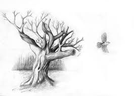 Bird On Tree Drawing Pencil Drawing Tree With Bird A Photo On Flickriver Pencil Drawings Tree Drawing Tree Sketches
