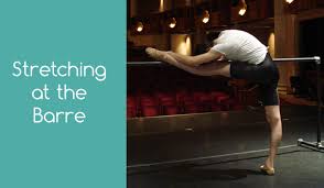 Pin On Ballet Performance Art