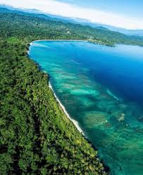 Información para turismo en costa rica: Viaggi E Crociere Per Sub Costa Rica Profondo Blu