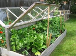 Ein Garten Fruhbeet Aus Holz Zweiseitig Zu Offnen Garten Hochbeet Garten Und Garten Gewachshaus