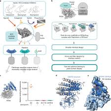 We always make sure that writers follow all your instructions precisely. Multi Input Chemical Control Of Protein Dimerization For Programming Graded Cellular Responses Nature Biotechnology