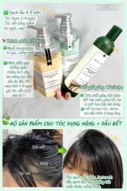 Trọn Bộ Chăm Tóc Tóc Weilaiya Dành Cho Da Đầu Dầu, Bết, Lão Hóa Da Đầu -  Combo Tăng Cường