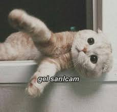 Https Senbens World Tumblr Com Post 616868084880457728 2020 Komik Seyler Komik Capsler Gulunc Resimler