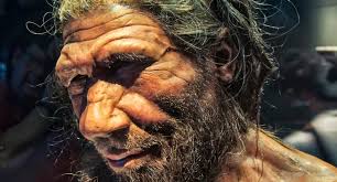Neanderthal e sapiens quando presero strade diverse?
