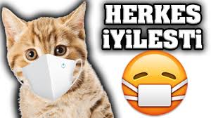 Yavru Kedi 3 Saniyede Oyunu Bitirdi Youtube