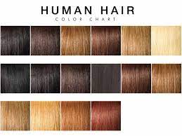 Hair color is the pigmentation of hair follicles due to two types of melanin: Human Hair Color 101 All You Need To Know About