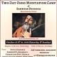 Osho Meditation Camp event image