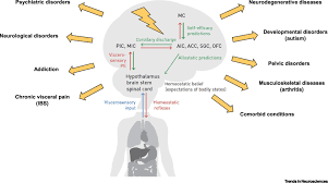 Comorbidities commonly associated with copd are listed in table 1. Diseases Disorders And Comorbidities Of Interoception Trends In Neurosciences