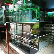 Selamat datang di pusat penyuplai jual ikan hias best seller yang paling jujur, amanah, profesional & bertanggung jawab di indonesia. Jual Aquarium Ikan Hias Bahari Kaskus