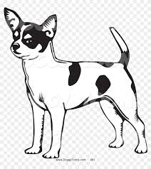 Chihuahua daily needs 20 to 30 minutes of exercise. Dog Chihuahua Coloring Pages Bing Images Patterns Transparent Coloring Pages Of A Chiwawa Hd Png Download 1024x1044 6774918 Pngfind