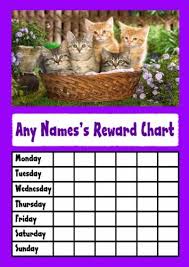 amazon com cats in a basket star sticker reward chart