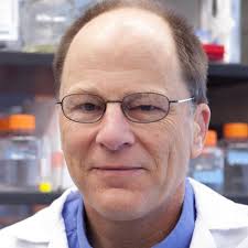 Team — Build-a-Cell