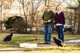 Harvard Museums of Science & Culture