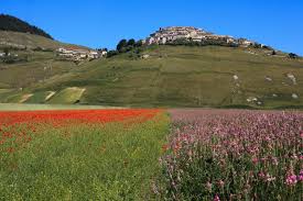 The city has always suffered of earthquakes to the point that for fear the buildings was not never develops in height. Wonders Of Italy Castelluccio Di Norcia Italy Magazine