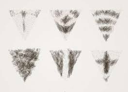 It has literally been adapted for every hair texture and length. Pubic Hair Design For Men Several Styles To Pick From Imanscape
