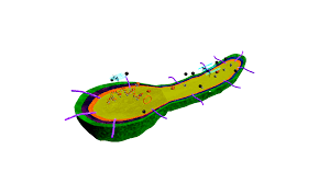 Image result for Corynebacterium