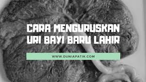 Bagi ramai, baju tidak hanya sekadar pakaian, tetapi komponen penting dalam imej perniagaan, pakaian sekolah, dan pakaian konsert. Cara Menguruskan Uri Bayi Baru Lahir Ahmad Fauzi Aryaan