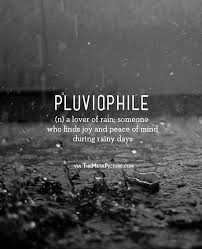 I M A Pluviophile Wonderful Words Cool Words Words