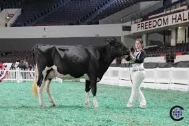 Grand National Holstein Junior Show 2019