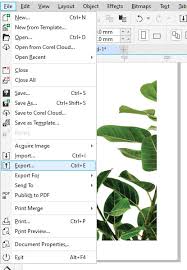 Buka coreldraw kalian atur ukuran lembar kerja yang akan kalian pakai. Cara Membuat Background Transparan Di Corel Draw X7