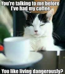 15 Cats Hyped Up On Coffee Memes To Get Your Through This Day Catquotes Coffee Humor Cat Coffee My Coffee