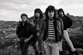 Degree in business administration, with expecialização in accounting and taxation. Rui Mendes Vendofoto