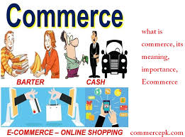 The act, business, or system of insuring. What Is Commerce Definition Meaning Importance 2021