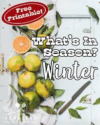 Over the time it has been ranked as high as 120 899 in the world, while most of its traffic comes from usa, where it reached as high as 1 009 422 position. Fruits And Vegetables In Season In The Winter My Fearless Kitchen