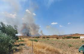 61 δασικές πυρκαγιές ξέσπασαν το τελευταίο 24ωρο στη χώρα Zkg3koic7 3fm