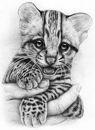 5 mei 2020 bekijk het bord kawaii van edespiegelaere op pinterest. Coloring For Adults Kleuren Voor Volwassenen Dieren Tekenen Tekenen Katten Tekening