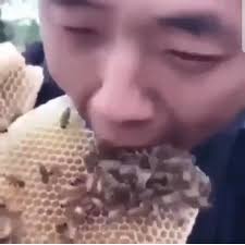Check spelling or type a new query. Cursed Why The Fuck Are Mods Allowing Non Cursed Posts In Subreddit That Was Previously So Strict The Single None Cursed Post Would Get You Banned Cursedimages