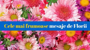 Cele mai frumoase flori, cele mai sincere urari pentru o zi minunata si un. Mesaje Si UrÄƒri De Florii Surprinde Pe Cineva Drag Cu Un Sms Simplu