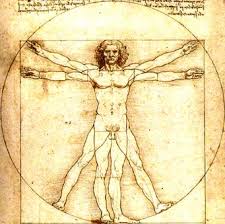 Resultado de imagen para cuerpo humano