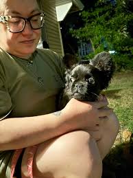 French Bulldog Lovers World🇺🇲🇺🇸