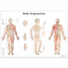 body acupuncture chart