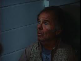 Salem's Lot (Comparison: Movie Version