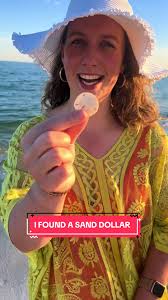 I FINALLY FOUND A SAND DOLLAR😭🙌🏻 #ThanksJesus #socool #sanddollar #beach  #shelling #seashells #gulfshores