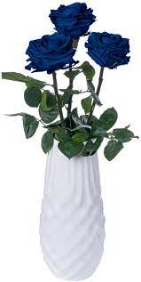 The drawback is that most perennials bloom for a shorter period than do annual flowers. Amazon Com Be Shapy Real Long Lasting Roses That Last A Year Fresh Cut Preserved Natural Flowers Flores Naturales Rosas Frescas Preservadas Para Regalo 3pcs Blue Grocery Gourmet Food