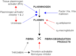The fds to the middle finger is tested by holding the other 3 fingers in full extension, thereby immobilizing the fdp (shown in black). Fibrinolysis Wikipedia