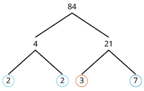 Check spelling or type a new query. Finding The Prime Factorization Of A Composite Number Developmental Math Emporium