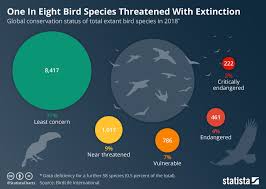 chart one in eight bird species threatened with extinction