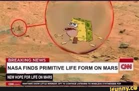 Nasa Finds Primitive Life Form On Mars Spongegar Primitive Sponge Caveman Spongebob Spongebob Funny Funny Relatable Memes Spongebob Memes