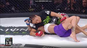 Female MMA ground and pound belly punching RYONA - YouTube