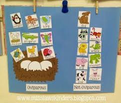 Miss Law S Kinders Oviparous Animal Life Cycles Day 2 All About Oviparous Anima Oviparous Animals Kindergarten Oviparous Animals Oviparous Animals Preschool