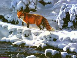 We did not find results for: Hd Wallpaper Cool Red Fox Red Fox Animals Dogs Hd Art Wallpaper Flare